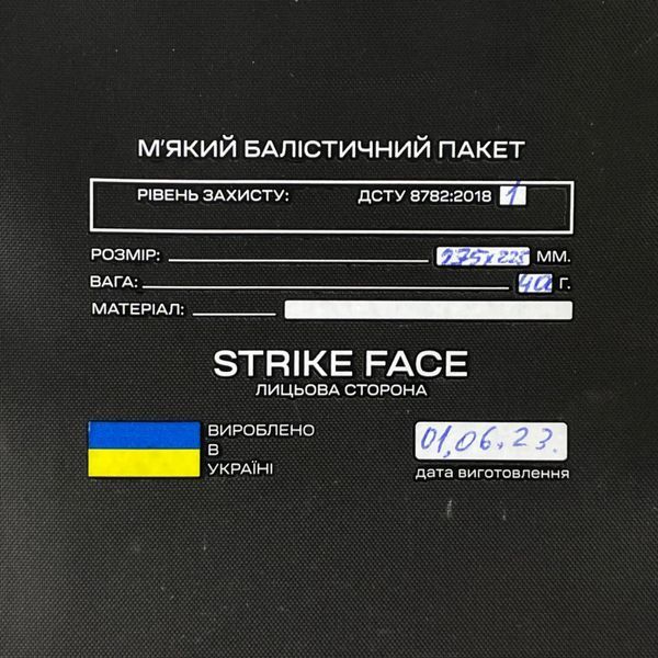 Балістичний пакет 275х225 1клас + Напашник піксель BK14 фото